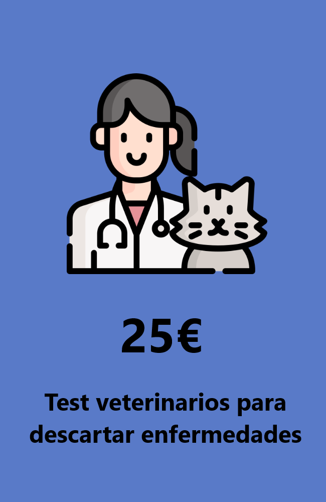 testveterinario