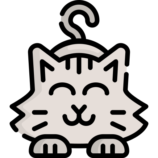 gato (1)