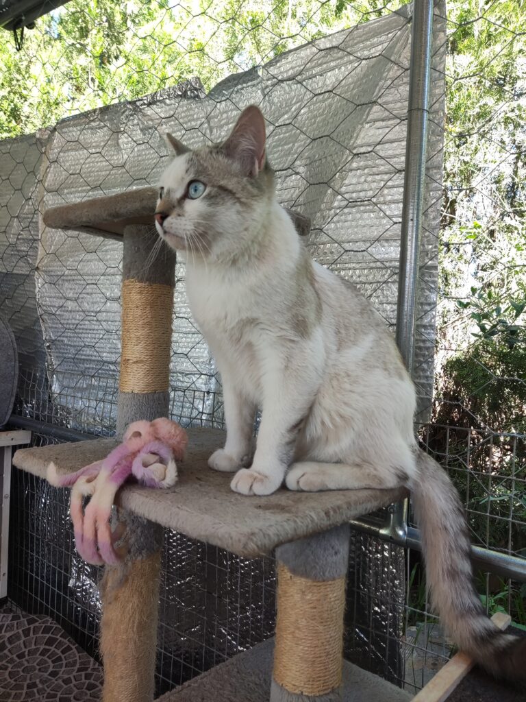 Casper