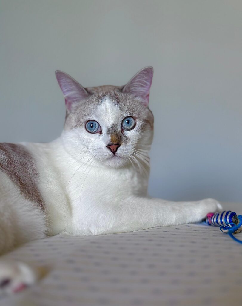 Casper