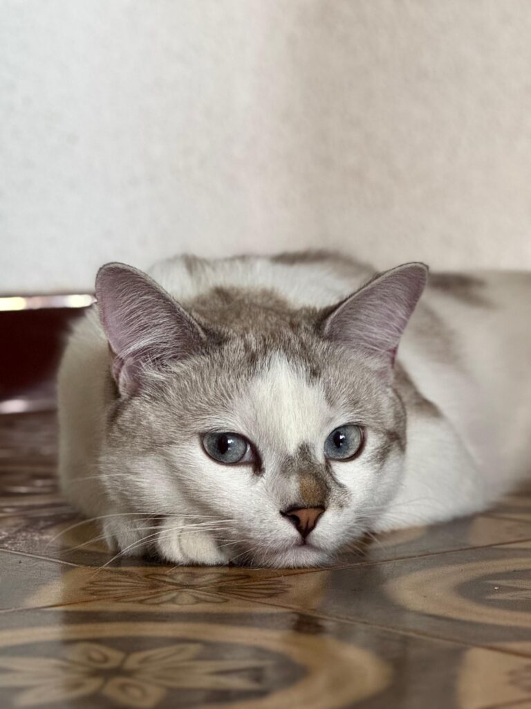 Casper