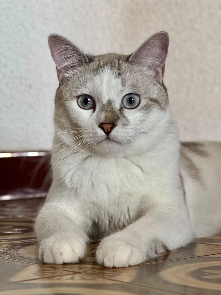 Casper